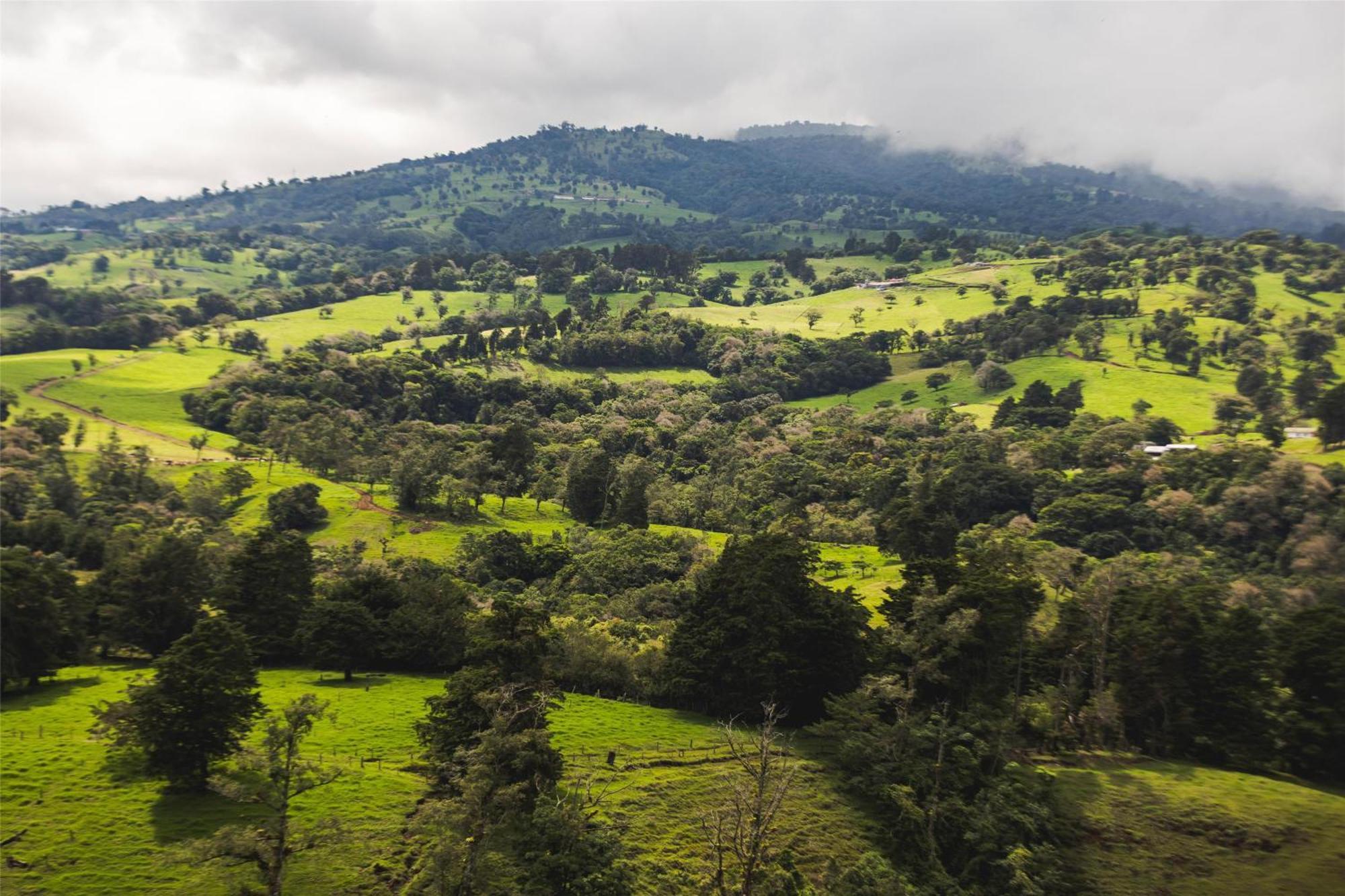 Hyatt Centric San Jose Escazu Hotel Luaran gambar